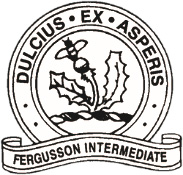 Fergusson Intermediate Logo